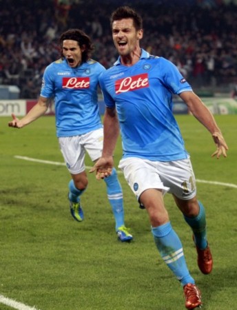 地区的鸟类 地区的鸟类